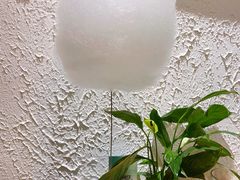 蒲公英棉花糖-小大董·烤鸭(王府井apm店)