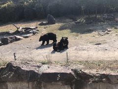 -宁波野生动物园