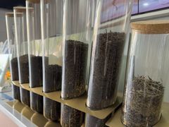 -雾与山茶(大禹城店)