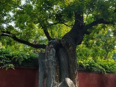 -天宁寺