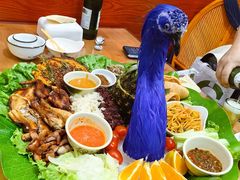 -沐毫傣泐云南菜孔雀宴•手抓饭傣味烧烤(曼听店)