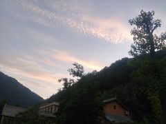 -牛背梁国家森林公园