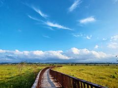-御道口草原森林风景区
