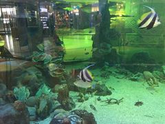 -尚泰清迈机场购物中心