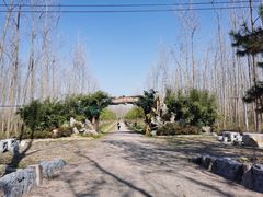 -合肥滨湖国家森林公园