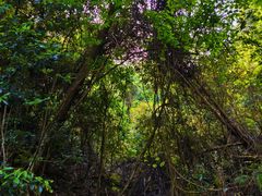 -大余丫山旅游度假区