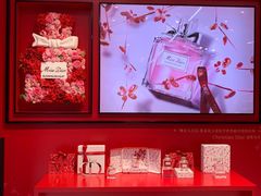 -Dior迪奥(上海世茂广场店)