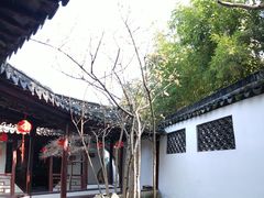 -上海醉白池公园