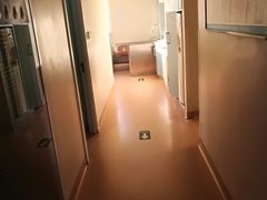 -瑞派·关忠动物医院(国瑞店)