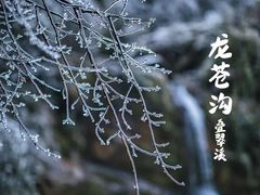 -龙苍沟森林公园