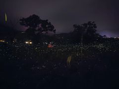 -西涌国际滨海旅游区