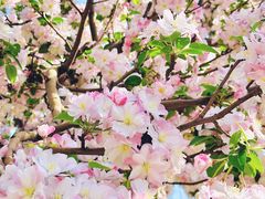 -元大都城垣遗址公园