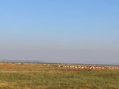 -敕勒川草原文化旅游区