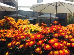 -瓦库茶馆17号(海汇港店)