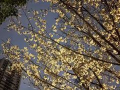 -萬國春·中菜馆(颐和公馆店)