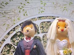 -济州岛泰迪熊博物馆