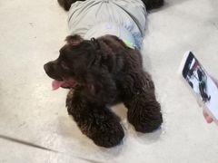 -小意思咖啡店(草桥店)