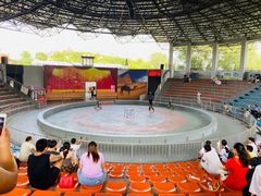 -辛玛王国游乐园