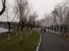 -艾溪湖湿地公园