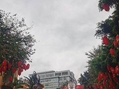 -越秀西湖花市(广州城市广场花卉店)