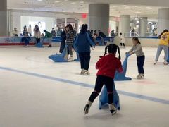 -TheRink大零溜冰场(IFS国金中心店)