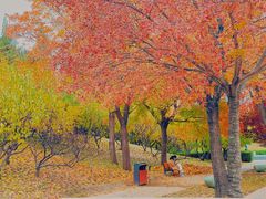 -元大都城垣遗址公园