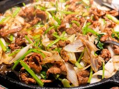 -喜悦烤鸭·新京菜(王府井店)