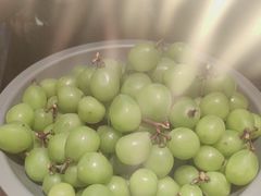 -龍歌自助小火锅(漳州二路爱购店)