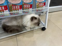 -美迦爱-牙专科·兔科·骨科诊疗中心(北苑店)