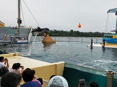 -秦皇岛乐岛海洋王国