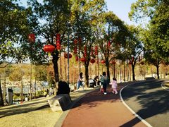 -牛岗山公园