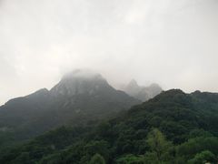 -陕西省红河谷森林公园