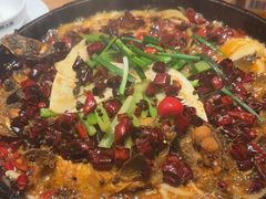 -老板恋上鱼(恒隆广场店)