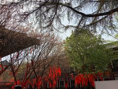 -西安青龙寺遗址景区