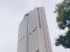 -南京维景国际大酒店(南京博物院店)