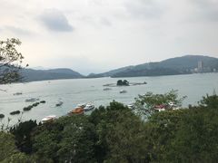 -金盆阿嬷香菇茶叶蛋(玄光店)