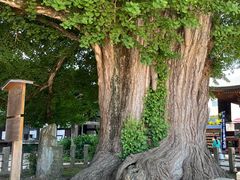 -医王山·飞騨国分寺