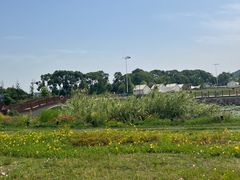 -桃花岛景观公园