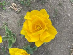 -长春公园(普阳街道)