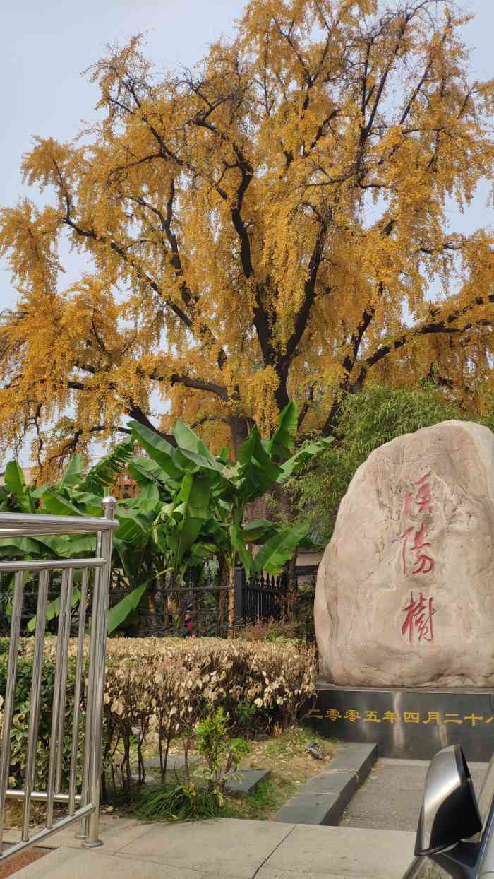 汉阳树公园-"周日,趁着好天气,我们慕名来到武汉有名的.