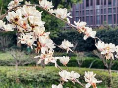 -上海虹桥宾馆(郁锦香品牌酒店)