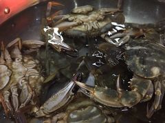 -春华海鲜城(广场西苑店)