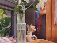 -No Cat 手碟