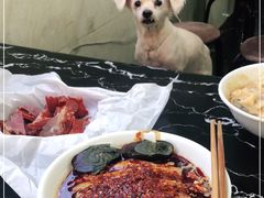 -何老二卤汁凉粉