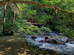 -广州市石门国家森林公园
