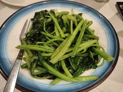 -峨嵋一派