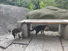 -崂山九水游览区