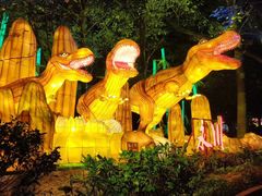 -南山植物园