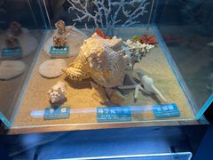 -梦幻海洋王国(吾悦广场张家港店)