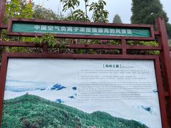 -江西阳明山国家森林公园